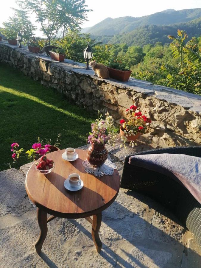 Delchevo Yancheva Guest House מראה חיצוני תמונה